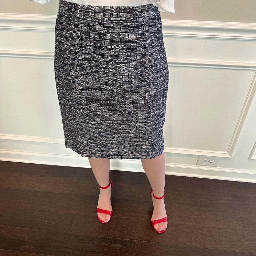 J Crew Skirt